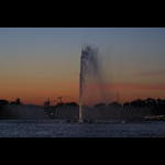 IMG_8489.JPG